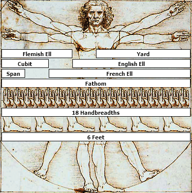 Vitruvian Man Measurements